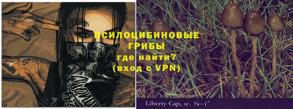 кокс Баксан