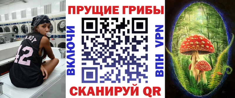 Псилоцибиновые грибы мухоморы  где можно купить   OMG рабочий сайт  Бор 